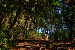 BIB: 
                            <button type="button" onclick="openModal(19374723)" class="btn btn-primary btn-sm float-right btn-popup" data-toggle="modal" data-target=".modal-high-quality">
                        <i class="fas fa-shopping-cart"></i> Add to Cart
                    </button>
                                            <button type="button" onclick="isThisMe(19374723, true)" class="btn btn-success btn-sm float-right btn-popup btn-isme hidden" data-toggle="tooltip" data-placement="bottom" title="นี่คือรูปของคุณใช่ไหม คลิกที่นี่เพื่อเอาเข้าอัลบั้ม">
                        <i class="fas fa-plus"></i> Add to album
                    </button>
                    <button type="button" onclick="isThisMe(19374723, false)" class="btn btn-warning btn-sm float-right btn-popup btn-isnotme hidden">
                        <i class="fas fa-ban"></i> Remove from album
                    </button>