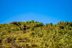 BIB: 
                            <button type="button" onclick="openModal(19374730)" class="btn btn-primary btn-sm float-right btn-popup" data-toggle="modal" data-target=".modal-high-quality">
                        <i class="fas fa-shopping-cart"></i> Add to Cart
                    </button>
                                            <button type="button" onclick="isThisMe(19374730, true)" class="btn btn-success btn-sm float-right btn-popup btn-isme hidden" data-toggle="tooltip" data-placement="bottom" title="นี่คือรูปของคุณใช่ไหม คลิกที่นี่เพื่อเอาเข้าอัลบั้ม">
                        <i class="fas fa-plus"></i> Add to album
                    </button>
                    <button type="button" onclick="isThisMe(19374730, false)" class="btn btn-warning btn-sm float-right btn-popup btn-isnotme hidden">
                        <i class="fas fa-ban"></i> Remove from album
                    </button>