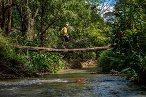 BIB: 
                            <button type="button" onclick="openModal(19375246)" class="btn btn-primary btn-sm float-right btn-popup" data-toggle="modal" data-target=".modal-high-quality">
                        <i class="fas fa-shopping-cart"></i> Add to Cart
                    </button>
                                            <button type="button" onclick="isThisMe(19375246, true)" class="btn btn-success btn-sm float-right btn-popup btn-isme hidden" data-toggle="tooltip" data-placement="bottom" title="นี่คือรูปของคุณใช่ไหม คลิกที่นี่เพื่อเอาเข้าอัลบั้ม">
                        <i class="fas fa-plus"></i> Add to album
                    </button>
                    <button type="button" onclick="isThisMe(19375246, false)" class="btn btn-warning btn-sm float-right btn-popup btn-isnotme hidden">
                        <i class="fas fa-ban"></i> Remove from album
                    </button>