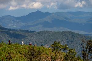 BIB: 
                            <button type="button" onclick="openModal(19375097)" class="btn btn-primary btn-sm float-right btn-popup" data-toggle="modal" data-target=".modal-high-quality">
                        <i class="fas fa-shopping-cart"></i> Add to Cart
                    </button>
                                            <button type="button" onclick="isThisMe(19375097, true)" class="btn btn-success btn-sm float-right btn-popup btn-isme hidden" data-toggle="tooltip" data-placement="bottom" title="นี่คือรูปของคุณใช่ไหม คลิกที่นี่เพื่อเอาเข้าอัลบั้ม">
                        <i class="fas fa-plus"></i> Add to album
                    </button>
                    <button type="button" onclick="isThisMe(19375097, false)" class="btn btn-warning btn-sm float-right btn-popup btn-isnotme hidden">
                        <i class="fas fa-ban"></i> Remove from album
                    </button>