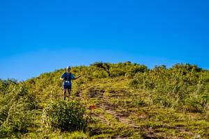 BIB: 
                            <button type="button" onclick="openModal(19374755)" class="btn btn-primary btn-sm float-right btn-popup" data-toggle="modal" data-target=".modal-high-quality">
                        <i class="fas fa-shopping-cart"></i> Add to Cart
                    </button>
                                            <button type="button" onclick="isThisMe(19374755, true)" class="btn btn-success btn-sm float-right btn-popup btn-isme hidden" data-toggle="tooltip" data-placement="bottom" title="นี่คือรูปของคุณใช่ไหม คลิกที่นี่เพื่อเอาเข้าอัลบั้ม">
                        <i class="fas fa-plus"></i> Add to album
                    </button>
                    <button type="button" onclick="isThisMe(19374755, false)" class="btn btn-warning btn-sm float-right btn-popup btn-isnotme hidden">
                        <i class="fas fa-ban"></i> Remove from album
                    </button>