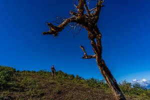 BIB: 
                            <button type="button" onclick="openModal(19375678)" class="btn btn-primary btn-sm float-right btn-popup" data-toggle="modal" data-target=".modal-high-quality">
                        <i class="fas fa-shopping-cart"></i> Add to Cart
                    </button>
                                            <button type="button" onclick="isThisMe(19375678, true)" class="btn btn-success btn-sm float-right btn-popup btn-isme hidden" data-toggle="tooltip" data-placement="bottom" title="นี่คือรูปของคุณใช่ไหม คลิกที่นี่เพื่อเอาเข้าอัลบั้ม">
                        <i class="fas fa-plus"></i> Add to album
                    </button>
                    <button type="button" onclick="isThisMe(19375678, false)" class="btn btn-warning btn-sm float-right btn-popup btn-isnotme hidden">
                        <i class="fas fa-ban"></i> Remove from album
                    </button>