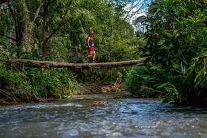 BIB: 
                            <button type="button" onclick="openModal(19375241)" class="btn btn-primary btn-sm float-right btn-popup" data-toggle="modal" data-target=".modal-high-quality">
                        <i class="fas fa-shopping-cart"></i> Add to Cart
                    </button>
                                            <button type="button" onclick="isThisMe(19375241, true)" class="btn btn-success btn-sm float-right btn-popup btn-isme hidden" data-toggle="tooltip" data-placement="bottom" title="นี่คือรูปของคุณใช่ไหม คลิกที่นี่เพื่อเอาเข้าอัลบั้ม">
                        <i class="fas fa-plus"></i> Add to album
                    </button>
                    <button type="button" onclick="isThisMe(19375241, false)" class="btn btn-warning btn-sm float-right btn-popup btn-isnotme hidden">
                        <i class="fas fa-ban"></i> Remove from album
                    </button>