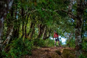 BIB: 
                            <button type="button" onclick="openModal(19375161)" class="btn btn-primary btn-sm float-right btn-popup" data-toggle="modal" data-target=".modal-high-quality">
                        <i class="fas fa-shopping-cart"></i> Add to Cart
                    </button>
                                            <button type="button" onclick="isThisMe(19375161, true)" class="btn btn-success btn-sm float-right btn-popup btn-isme hidden" data-toggle="tooltip" data-placement="bottom" title="นี่คือรูปของคุณใช่ไหม คลิกที่นี่เพื่อเอาเข้าอัลบั้ม">
                        <i class="fas fa-plus"></i> Add to album
                    </button>
                    <button type="button" onclick="isThisMe(19375161, false)" class="btn btn-warning btn-sm float-right btn-popup btn-isnotme hidden">
                        <i class="fas fa-ban"></i> Remove from album
                    </button>