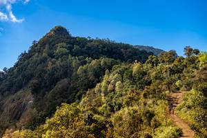 BIB: 
                            <button type="button" onclick="openModal(19374979)" class="btn btn-primary btn-sm float-right btn-popup" data-toggle="modal" data-target=".modal-high-quality">
                        <i class="fas fa-shopping-cart"></i> Add to Cart
                    </button>
                                            <button type="button" onclick="isThisMe(19374979, true)" class="btn btn-success btn-sm float-right btn-popup btn-isme hidden" data-toggle="tooltip" data-placement="bottom" title="นี่คือรูปของคุณใช่ไหม คลิกที่นี่เพื่อเอาเข้าอัลบั้ม">
                        <i class="fas fa-plus"></i> Add to album
                    </button>
                    <button type="button" onclick="isThisMe(19374979, false)" class="btn btn-warning btn-sm float-right btn-popup btn-isnotme hidden">
                        <i class="fas fa-ban"></i> Remove from album
                    </button>