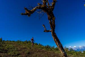 BIB: 
                            <button type="button" onclick="openModal(19375688)" class="btn btn-primary btn-sm float-right btn-popup" data-toggle="modal" data-target=".modal-high-quality">
                        <i class="fas fa-shopping-cart"></i> Add to Cart
                    </button>
                                            <button type="button" onclick="isThisMe(19375688, true)" class="btn btn-success btn-sm float-right btn-popup btn-isme hidden" data-toggle="tooltip" data-placement="bottom" title="นี่คือรูปของคุณใช่ไหม คลิกที่นี่เพื่อเอาเข้าอัลบั้ม">
                        <i class="fas fa-plus"></i> Add to album
                    </button>
                    <button type="button" onclick="isThisMe(19375688, false)" class="btn btn-warning btn-sm float-right btn-popup btn-isnotme hidden">
                        <i class="fas fa-ban"></i> Remove from album
                    </button>