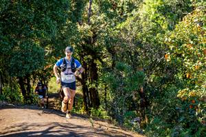 BIB: 
                            <button type="button" onclick="openModal(19374994)" class="btn btn-primary btn-sm float-right btn-popup" data-toggle="modal" data-target=".modal-high-quality">
                        <i class="fas fa-shopping-cart"></i> Add to Cart
                    </button>
                                            <button type="button" onclick="isThisMe(19374994, true)" class="btn btn-success btn-sm float-right btn-popup btn-isme hidden" data-toggle="tooltip" data-placement="bottom" title="นี่คือรูปของคุณใช่ไหม คลิกที่นี่เพื่อเอาเข้าอัลบั้ม">
                        <i class="fas fa-plus"></i> Add to album
                    </button>
                    <button type="button" onclick="isThisMe(19374994, false)" class="btn btn-warning btn-sm float-right btn-popup btn-isnotme hidden">
                        <i class="fas fa-ban"></i> Remove from album
                    </button>