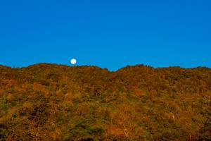 BIB: 
                            <button type="button" onclick="openModal(19374592)" class="btn btn-primary btn-sm float-right btn-popup" data-toggle="modal" data-target=".modal-high-quality">
                        <i class="fas fa-shopping-cart"></i> Add to Cart
                    </button>
                                            <button type="button" onclick="isThisMe(19374592, true)" class="btn btn-success btn-sm float-right btn-popup btn-isme hidden" data-toggle="tooltip" data-placement="bottom" title="นี่คือรูปของคุณใช่ไหม คลิกที่นี่เพื่อเอาเข้าอัลบั้ม">
                        <i class="fas fa-plus"></i> Add to album
                    </button>
                    <button type="button" onclick="isThisMe(19374592, false)" class="btn btn-warning btn-sm float-right btn-popup btn-isnotme hidden">
                        <i class="fas fa-ban"></i> Remove from album
                    </button>