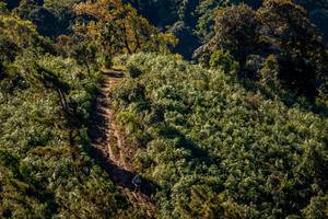 BIB: 
                            <button type="button" onclick="openModal(19374821)" class="btn btn-primary btn-sm float-right btn-popup" data-toggle="modal" data-target=".modal-high-quality">
                        <i class="fas fa-shopping-cart"></i> Add to Cart
                    </button>
                                            <button type="button" onclick="isThisMe(19374821, true)" class="btn btn-success btn-sm float-right btn-popup btn-isme hidden" data-toggle="tooltip" data-placement="bottom" title="นี่คือรูปของคุณใช่ไหม คลิกที่นี่เพื่อเอาเข้าอัลบั้ม">
                        <i class="fas fa-plus"></i> Add to album
                    </button>
                    <button type="button" onclick="isThisMe(19374821, false)" class="btn btn-warning btn-sm float-right btn-popup btn-isnotme hidden">
                        <i class="fas fa-ban"></i> Remove from album
                    </button>