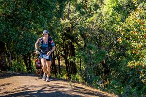 BIB: 1991
                            <button type="button" onclick="openModal(19375003)" class="btn btn-primary btn-sm float-right btn-popup" data-toggle="modal" data-target=".modal-high-quality">
                        <i class="fas fa-shopping-cart"></i> Add to Cart
                    </button>
                                            <button type="button" onclick="isThisMe(19375003, true)" class="btn btn-success btn-sm float-right btn-popup btn-isme hidden" data-toggle="tooltip" data-placement="bottom" title="นี่คือรูปของคุณใช่ไหม คลิกที่นี่เพื่อเอาเข้าอัลบั้ม">
                        <i class="fas fa-plus"></i> Add to album
                    </button>
                    <button type="button" onclick="isThisMe(19375003, false)" class="btn btn-warning btn-sm float-right btn-popup btn-isnotme hidden">
                        <i class="fas fa-ban"></i> Remove from album
                    </button>