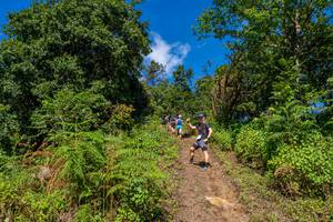 BIB: 
                            <button type="button" onclick="openModal(19375920)" class="btn btn-primary btn-sm float-right btn-popup" data-toggle="modal" data-target=".modal-high-quality">
                        <i class="fas fa-shopping-cart"></i> Add to Cart
                    </button>
                                            <button type="button" onclick="isThisMe(19375920, true)" class="btn btn-success btn-sm float-right btn-popup btn-isme hidden" data-toggle="tooltip" data-placement="bottom" title="นี่คือรูปของคุณใช่ไหม คลิกที่นี่เพื่อเอาเข้าอัลบั้ม">
                        <i class="fas fa-plus"></i> Add to album
                    </button>
                    <button type="button" onclick="isThisMe(19375920, false)" class="btn btn-warning btn-sm float-right btn-popup btn-isnotme hidden">
                        <i class="fas fa-ban"></i> Remove from album
                    </button>