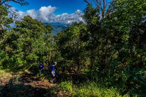 BIB: 
                            <button type="button" onclick="openModal(19375813)" class="btn btn-primary btn-sm float-right btn-popup" data-toggle="modal" data-target=".modal-high-quality">
                        <i class="fas fa-shopping-cart"></i> Add to Cart
                    </button>
                                            <button type="button" onclick="isThisMe(19375813, true)" class="btn btn-success btn-sm float-right btn-popup btn-isme hidden" data-toggle="tooltip" data-placement="bottom" title="นี่คือรูปของคุณใช่ไหม คลิกที่นี่เพื่อเอาเข้าอัลบั้ม">
                        <i class="fas fa-plus"></i> Add to album
                    </button>
                    <button type="button" onclick="isThisMe(19375813, false)" class="btn btn-warning btn-sm float-right btn-popup btn-isnotme hidden">
                        <i class="fas fa-ban"></i> Remove from album
                    </button>