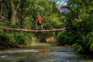 BIB: 
                            <button type="button" onclick="openModal(19375256)" class="btn btn-primary btn-sm float-right btn-popup" data-toggle="modal" data-target=".modal-high-quality">
                        <i class="fas fa-shopping-cart"></i> Add to Cart
                    </button>
                                            <button type="button" onclick="isThisMe(19375256, true)" class="btn btn-success btn-sm float-right btn-popup btn-isme hidden" data-toggle="tooltip" data-placement="bottom" title="นี่คือรูปของคุณใช่ไหม คลิกที่นี่เพื่อเอาเข้าอัลบั้ม">
                        <i class="fas fa-plus"></i> Add to album
                    </button>
                    <button type="button" onclick="isThisMe(19375256, false)" class="btn btn-warning btn-sm float-right btn-popup btn-isnotme hidden">
                        <i class="fas fa-ban"></i> Remove from album
                    </button>