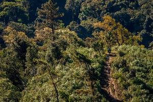 BIB: 
                            <button type="button" onclick="openModal(19374825)" class="btn btn-primary btn-sm float-right btn-popup" data-toggle="modal" data-target=".modal-high-quality">
                        <i class="fas fa-shopping-cart"></i> Add to Cart
                    </button>
                                            <button type="button" onclick="isThisMe(19374825, true)" class="btn btn-success btn-sm float-right btn-popup btn-isme hidden" data-toggle="tooltip" data-placement="bottom" title="นี่คือรูปของคุณใช่ไหม คลิกที่นี่เพื่อเอาเข้าอัลบั้ม">
                        <i class="fas fa-plus"></i> Add to album
                    </button>
                    <button type="button" onclick="isThisMe(19374825, false)" class="btn btn-warning btn-sm float-right btn-popup btn-isnotme hidden">
                        <i class="fas fa-ban"></i> Remove from album
                    </button>