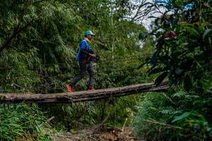 BIB: 
                            <button type="button" onclick="openModal(19375237)" class="btn btn-primary btn-sm float-right btn-popup" data-toggle="modal" data-target=".modal-high-quality">
                        <i class="fas fa-shopping-cart"></i> Add to Cart
                    </button>
                                            <button type="button" onclick="isThisMe(19375237, true)" class="btn btn-success btn-sm float-right btn-popup btn-isme hidden" data-toggle="tooltip" data-placement="bottom" title="นี่คือรูปของคุณใช่ไหม คลิกที่นี่เพื่อเอาเข้าอัลบั้ม">
                        <i class="fas fa-plus"></i> Add to album
                    </button>
                    <button type="button" onclick="isThisMe(19375237, false)" class="btn btn-warning btn-sm float-right btn-popup btn-isnotme hidden">
                        <i class="fas fa-ban"></i> Remove from album
                    </button>