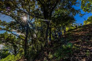 BIB: 
                            <button type="button" onclick="openModal(19375801)" class="btn btn-primary btn-sm float-right btn-popup" data-toggle="modal" data-target=".modal-high-quality">
                        <i class="fas fa-shopping-cart"></i> Add to Cart
                    </button>
                                            <button type="button" onclick="isThisMe(19375801, true)" class="btn btn-success btn-sm float-right btn-popup btn-isme hidden" data-toggle="tooltip" data-placement="bottom" title="นี่คือรูปของคุณใช่ไหม คลิกที่นี่เพื่อเอาเข้าอัลบั้ม">
                        <i class="fas fa-plus"></i> Add to album
                    </button>
                    <button type="button" onclick="isThisMe(19375801, false)" class="btn btn-warning btn-sm float-right btn-popup btn-isnotme hidden">
                        <i class="fas fa-ban"></i> Remove from album
                    </button>