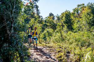 BIB: 
                            <button type="button" onclick="openModal(19374869)" class="btn btn-primary btn-sm float-right btn-popup" data-toggle="modal" data-target=".modal-high-quality">
                        <i class="fas fa-shopping-cart"></i> Add to Cart
                    </button>
                                            <button type="button" onclick="isThisMe(19374869, true)" class="btn btn-success btn-sm float-right btn-popup btn-isme hidden" data-toggle="tooltip" data-placement="bottom" title="นี่คือรูปของคุณใช่ไหม คลิกที่นี่เพื่อเอาเข้าอัลบั้ม">
                        <i class="fas fa-plus"></i> Add to album
                    </button>
                    <button type="button" onclick="isThisMe(19374869, false)" class="btn btn-warning btn-sm float-right btn-popup btn-isnotme hidden">
                        <i class="fas fa-ban"></i> Remove from album
                    </button>