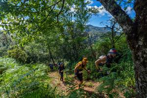 BIB: 
                            <button type="button" onclick="openModal(19375924)" class="btn btn-primary btn-sm float-right btn-popup" data-toggle="modal" data-target=".modal-high-quality">
                        <i class="fas fa-shopping-cart"></i> Add to Cart
                    </button>
                                            <button type="button" onclick="isThisMe(19375924, true)" class="btn btn-success btn-sm float-right btn-popup btn-isme hidden" data-toggle="tooltip" data-placement="bottom" title="นี่คือรูปของคุณใช่ไหม คลิกที่นี่เพื่อเอาเข้าอัลบั้ม">
                        <i class="fas fa-plus"></i> Add to album
                    </button>
                    <button type="button" onclick="isThisMe(19375924, false)" class="btn btn-warning btn-sm float-right btn-popup btn-isnotme hidden">
                        <i class="fas fa-ban"></i> Remove from album
                    </button>