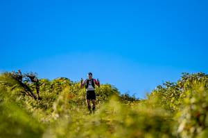 BIB: 
                            <button type="button" onclick="openModal(19374775)" class="btn btn-primary btn-sm float-right btn-popup" data-toggle="modal" data-target=".modal-high-quality">
                        <i class="fas fa-shopping-cart"></i> Add to Cart
                    </button>
                                            <button type="button" onclick="isThisMe(19374775, true)" class="btn btn-success btn-sm float-right btn-popup btn-isme hidden" data-toggle="tooltip" data-placement="bottom" title="นี่คือรูปของคุณใช่ไหม คลิกที่นี่เพื่อเอาเข้าอัลบั้ม">
                        <i class="fas fa-plus"></i> Add to album
                    </button>
                    <button type="button" onclick="isThisMe(19374775, false)" class="btn btn-warning btn-sm float-right btn-popup btn-isnotme hidden">
                        <i class="fas fa-ban"></i> Remove from album
                    </button>