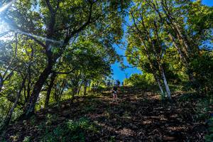 BIB: 
                            <button type="button" onclick="openModal(19375785)" class="btn btn-primary btn-sm float-right btn-popup" data-toggle="modal" data-target=".modal-high-quality">
                        <i class="fas fa-shopping-cart"></i> Add to Cart
                    </button>
                                            <button type="button" onclick="isThisMe(19375785, true)" class="btn btn-success btn-sm float-right btn-popup btn-isme hidden" data-toggle="tooltip" data-placement="bottom" title="นี่คือรูปของคุณใช่ไหม คลิกที่นี่เพื่อเอาเข้าอัลบั้ม">
                        <i class="fas fa-plus"></i> Add to album
                    </button>
                    <button type="button" onclick="isThisMe(19375785, false)" class="btn btn-warning btn-sm float-right btn-popup btn-isnotme hidden">
                        <i class="fas fa-ban"></i> Remove from album
                    </button>