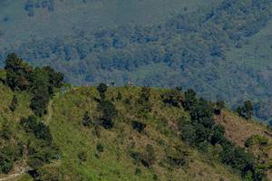 BIB: 
                            <button type="button" onclick="openModal(19375107)" class="btn btn-primary btn-sm float-right btn-popup" data-toggle="modal" data-target=".modal-high-quality">
                        <i class="fas fa-shopping-cart"></i> Add to Cart
                    </button>
                                            <button type="button" onclick="isThisMe(19375107, true)" class="btn btn-success btn-sm float-right btn-popup btn-isme hidden" data-toggle="tooltip" data-placement="bottom" title="นี่คือรูปของคุณใช่ไหม คลิกที่นี่เพื่อเอาเข้าอัลบั้ม">
                        <i class="fas fa-plus"></i> Add to album
                    </button>
                    <button type="button" onclick="isThisMe(19375107, false)" class="btn btn-warning btn-sm float-right btn-popup btn-isnotme hidden">
                        <i class="fas fa-ban"></i> Remove from album
                    </button>