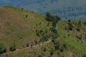 BIB: 
                            <button type="button" onclick="openModal(19375105)" class="btn btn-primary btn-sm float-right btn-popup" data-toggle="modal" data-target=".modal-high-quality">
                        <i class="fas fa-shopping-cart"></i> Add to Cart
                    </button>
                                            <button type="button" onclick="isThisMe(19375105, true)" class="btn btn-success btn-sm float-right btn-popup btn-isme hidden" data-toggle="tooltip" data-placement="bottom" title="นี่คือรูปของคุณใช่ไหม คลิกที่นี่เพื่อเอาเข้าอัลบั้ม">
                        <i class="fas fa-plus"></i> Add to album
                    </button>
                    <button type="button" onclick="isThisMe(19375105, false)" class="btn btn-warning btn-sm float-right btn-popup btn-isnotme hidden">
                        <i class="fas fa-ban"></i> Remove from album
                    </button>