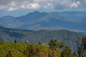 BIB: 
                            <button type="button" onclick="openModal(19375099)" class="btn btn-primary btn-sm float-right btn-popup" data-toggle="modal" data-target=".modal-high-quality">
                        <i class="fas fa-shopping-cart"></i> Add to Cart
                    </button>
                                            <button type="button" onclick="isThisMe(19375099, true)" class="btn btn-success btn-sm float-right btn-popup btn-isme hidden" data-toggle="tooltip" data-placement="bottom" title="นี่คือรูปของคุณใช่ไหม คลิกที่นี่เพื่อเอาเข้าอัลบั้ม">
                        <i class="fas fa-plus"></i> Add to album
                    </button>
                    <button type="button" onclick="isThisMe(19375099, false)" class="btn btn-warning btn-sm float-right btn-popup btn-isnotme hidden">
                        <i class="fas fa-ban"></i> Remove from album
                    </button>