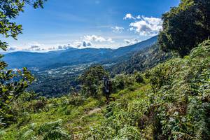 BIB: 
                            <button type="button" onclick="openModal(19375694)" class="btn btn-primary btn-sm float-right btn-popup" data-toggle="modal" data-target=".modal-high-quality">
                        <i class="fas fa-shopping-cart"></i> Add to Cart
                    </button>
                                            <button type="button" onclick="isThisMe(19375694, true)" class="btn btn-success btn-sm float-right btn-popup btn-isme hidden" data-toggle="tooltip" data-placement="bottom" title="นี่คือรูปของคุณใช่ไหม คลิกที่นี่เพื่อเอาเข้าอัลบั้ม">
                        <i class="fas fa-plus"></i> Add to album
                    </button>
                    <button type="button" onclick="isThisMe(19375694, false)" class="btn btn-warning btn-sm float-right btn-popup btn-isnotme hidden">
                        <i class="fas fa-ban"></i> Remove from album
                    </button>