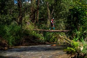 BIB: 
                            <button type="button" onclick="openModal(19375215)" class="btn btn-primary btn-sm float-right btn-popup" data-toggle="modal" data-target=".modal-high-quality">
                        <i class="fas fa-shopping-cart"></i> Add to Cart
                    </button>
                                            <button type="button" onclick="isThisMe(19375215, true)" class="btn btn-success btn-sm float-right btn-popup btn-isme hidden" data-toggle="tooltip" data-placement="bottom" title="นี่คือรูปของคุณใช่ไหม คลิกที่นี่เพื่อเอาเข้าอัลบั้ม">
                        <i class="fas fa-plus"></i> Add to album
                    </button>
                    <button type="button" onclick="isThisMe(19375215, false)" class="btn btn-warning btn-sm float-right btn-popup btn-isnotme hidden">
                        <i class="fas fa-ban"></i> Remove from album
                    </button>