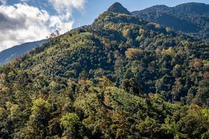 BIB: 
                            <button type="button" onclick="openModal(19374814)" class="btn btn-primary btn-sm float-right btn-popup" data-toggle="modal" data-target=".modal-high-quality">
                        <i class="fas fa-shopping-cart"></i> Add to Cart
                    </button>
                                            <button type="button" onclick="isThisMe(19374814, true)" class="btn btn-success btn-sm float-right btn-popup btn-isme hidden" data-toggle="tooltip" data-placement="bottom" title="นี่คือรูปของคุณใช่ไหม คลิกที่นี่เพื่อเอาเข้าอัลบั้ม">
                        <i class="fas fa-plus"></i> Add to album
                    </button>
                    <button type="button" onclick="isThisMe(19374814, false)" class="btn btn-warning btn-sm float-right btn-popup btn-isnotme hidden">
                        <i class="fas fa-ban"></i> Remove from album
                    </button>