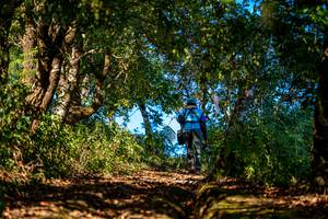 BIB: 
                            <button type="button" onclick="openModal(19374708)" class="btn btn-primary btn-sm float-right btn-popup" data-toggle="modal" data-target=".modal-high-quality">
                        <i class="fas fa-shopping-cart"></i> Add to Cart
                    </button>
                                            <button type="button" onclick="isThisMe(19374708, true)" class="btn btn-success btn-sm float-right btn-popup btn-isme hidden" data-toggle="tooltip" data-placement="bottom" title="นี่คือรูปของคุณใช่ไหม คลิกที่นี่เพื่อเอาเข้าอัลบั้ม">
                        <i class="fas fa-plus"></i> Add to album
                    </button>
                    <button type="button" onclick="isThisMe(19374708, false)" class="btn btn-warning btn-sm float-right btn-popup btn-isnotme hidden">
                        <i class="fas fa-ban"></i> Remove from album
                    </button>