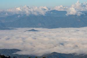 BIB: 
                            <button type="button" onclick="openModal(19374619)" class="btn btn-primary btn-sm float-right btn-popup" data-toggle="modal" data-target=".modal-high-quality">
                        <i class="fas fa-shopping-cart"></i> Add to Cart
                    </button>
                                            <button type="button" onclick="isThisMe(19374619, true)" class="btn btn-success btn-sm float-right btn-popup btn-isme hidden" data-toggle="tooltip" data-placement="bottom" title="นี่คือรูปของคุณใช่ไหม คลิกที่นี่เพื่อเอาเข้าอัลบั้ม">
                        <i class="fas fa-plus"></i> Add to album
                    </button>
                    <button type="button" onclick="isThisMe(19374619, false)" class="btn btn-warning btn-sm float-right btn-popup btn-isnotme hidden">
                        <i class="fas fa-ban"></i> Remove from album
                    </button>