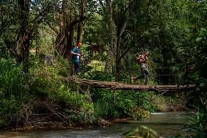 BIB: 
                            <button type="button" onclick="openModal(19375208)" class="btn btn-primary btn-sm float-right btn-popup" data-toggle="modal" data-target=".modal-high-quality">
                        <i class="fas fa-shopping-cart"></i> Add to Cart
                    </button>
                                            <button type="button" onclick="isThisMe(19375208, true)" class="btn btn-success btn-sm float-right btn-popup btn-isme hidden" data-toggle="tooltip" data-placement="bottom" title="นี่คือรูปของคุณใช่ไหม คลิกที่นี่เพื่อเอาเข้าอัลบั้ม">
                        <i class="fas fa-plus"></i> Add to album
                    </button>
                    <button type="button" onclick="isThisMe(19375208, false)" class="btn btn-warning btn-sm float-right btn-popup btn-isnotme hidden">
                        <i class="fas fa-ban"></i> Remove from album
                    </button>