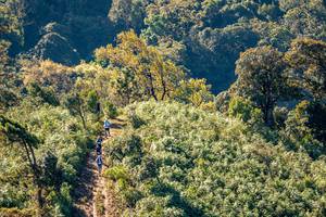 BIB: 
                            <button type="button" onclick="openModal(19374832)" class="btn btn-primary btn-sm float-right btn-popup" data-toggle="modal" data-target=".modal-high-quality">
                        <i class="fas fa-shopping-cart"></i> Add to Cart
                    </button>
                                            <button type="button" onclick="isThisMe(19374832, true)" class="btn btn-success btn-sm float-right btn-popup btn-isme hidden" data-toggle="tooltip" data-placement="bottom" title="นี่คือรูปของคุณใช่ไหม คลิกที่นี่เพื่อเอาเข้าอัลบั้ม">
                        <i class="fas fa-plus"></i> Add to album
                    </button>
                    <button type="button" onclick="isThisMe(19374832, false)" class="btn btn-warning btn-sm float-right btn-popup btn-isnotme hidden">
                        <i class="fas fa-ban"></i> Remove from album
                    </button>