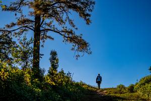 BIB: 
                            <button type="button" onclick="openModal(19374636)" class="btn btn-primary btn-sm float-right btn-popup" data-toggle="modal" data-target=".modal-high-quality">
                        <i class="fas fa-shopping-cart"></i> Add to Cart
                    </button>
                                            <button type="button" onclick="isThisMe(19374636, true)" class="btn btn-success btn-sm float-right btn-popup btn-isme hidden" data-toggle="tooltip" data-placement="bottom" title="นี่คือรูปของคุณใช่ไหม คลิกที่นี่เพื่อเอาเข้าอัลบั้ม">
                        <i class="fas fa-plus"></i> Add to album
                    </button>
                    <button type="button" onclick="isThisMe(19374636, false)" class="btn btn-warning btn-sm float-right btn-popup btn-isnotme hidden">
                        <i class="fas fa-ban"></i> Remove from album
                    </button>