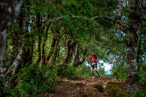 BIB: 
                            <button type="button" onclick="openModal(19375162)" class="btn btn-primary btn-sm float-right btn-popup" data-toggle="modal" data-target=".modal-high-quality">
                        <i class="fas fa-shopping-cart"></i> Add to Cart
                    </button>
                                            <button type="button" onclick="isThisMe(19375162, true)" class="btn btn-success btn-sm float-right btn-popup btn-isme hidden" data-toggle="tooltip" data-placement="bottom" title="นี่คือรูปของคุณใช่ไหม คลิกที่นี่เพื่อเอาเข้าอัลบั้ม">
                        <i class="fas fa-plus"></i> Add to album
                    </button>
                    <button type="button" onclick="isThisMe(19375162, false)" class="btn btn-warning btn-sm float-right btn-popup btn-isnotme hidden">
                        <i class="fas fa-ban"></i> Remove from album
                    </button>