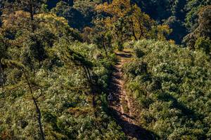 BIB: 
                            <button type="button" onclick="openModal(19374818)" class="btn btn-primary btn-sm float-right btn-popup" data-toggle="modal" data-target=".modal-high-quality">
                        <i class="fas fa-shopping-cart"></i> Add to Cart
                    </button>
                                            <button type="button" onclick="isThisMe(19374818, true)" class="btn btn-success btn-sm float-right btn-popup btn-isme hidden" data-toggle="tooltip" data-placement="bottom" title="นี่คือรูปของคุณใช่ไหม คลิกที่นี่เพื่อเอาเข้าอัลบั้ม">
                        <i class="fas fa-plus"></i> Add to album
                    </button>
                    <button type="button" onclick="isThisMe(19374818, false)" class="btn btn-warning btn-sm float-right btn-popup btn-isnotme hidden">
                        <i class="fas fa-ban"></i> Remove from album
                    </button>