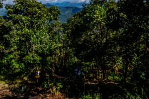 BIB: 
                            <button type="button" onclick="openModal(19375808)" class="btn btn-primary btn-sm float-right btn-popup" data-toggle="modal" data-target=".modal-high-quality">
                        <i class="fas fa-shopping-cart"></i> Add to Cart
                    </button>
                                            <button type="button" onclick="isThisMe(19375808, true)" class="btn btn-success btn-sm float-right btn-popup btn-isme hidden" data-toggle="tooltip" data-placement="bottom" title="นี่คือรูปของคุณใช่ไหม คลิกที่นี่เพื่อเอาเข้าอัลบั้ม">
                        <i class="fas fa-plus"></i> Add to album
                    </button>
                    <button type="button" onclick="isThisMe(19375808, false)" class="btn btn-warning btn-sm float-right btn-popup btn-isnotme hidden">
                        <i class="fas fa-ban"></i> Remove from album
                    </button>