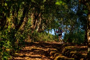 BIB: 
                            <button type="button" onclick="openModal(19374713)" class="btn btn-primary btn-sm float-right btn-popup" data-toggle="modal" data-target=".modal-high-quality">
                        <i class="fas fa-shopping-cart"></i> Add to Cart
                    </button>
                                            <button type="button" onclick="isThisMe(19374713, true)" class="btn btn-success btn-sm float-right btn-popup btn-isme hidden" data-toggle="tooltip" data-placement="bottom" title="นี่คือรูปของคุณใช่ไหม คลิกที่นี่เพื่อเอาเข้าอัลบั้ม">
                        <i class="fas fa-plus"></i> Add to album
                    </button>
                    <button type="button" onclick="isThisMe(19374713, false)" class="btn btn-warning btn-sm float-right btn-popup btn-isnotme hidden">
                        <i class="fas fa-ban"></i> Remove from album
                    </button>