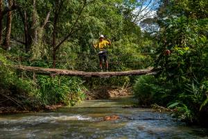 BIB: 
                            <button type="button" onclick="openModal(19375250)" class="btn btn-primary btn-sm float-right btn-popup" data-toggle="modal" data-target=".modal-high-quality">
                        <i class="fas fa-shopping-cart"></i> Add to Cart
                    </button>
                                            <button type="button" onclick="isThisMe(19375250, true)" class="btn btn-success btn-sm float-right btn-popup btn-isme hidden" data-toggle="tooltip" data-placement="bottom" title="นี่คือรูปของคุณใช่ไหม คลิกที่นี่เพื่อเอาเข้าอัลบั้ม">
                        <i class="fas fa-plus"></i> Add to album
                    </button>
                    <button type="button" onclick="isThisMe(19375250, false)" class="btn btn-warning btn-sm float-right btn-popup btn-isnotme hidden">
                        <i class="fas fa-ban"></i> Remove from album
                    </button>