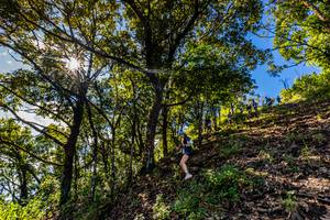 BIB: 
                            <button type="button" onclick="openModal(19375789)" class="btn btn-primary btn-sm float-right btn-popup" data-toggle="modal" data-target=".modal-high-quality">
                        <i class="fas fa-shopping-cart"></i> Add to Cart
                    </button>
                                            <button type="button" onclick="isThisMe(19375789, true)" class="btn btn-success btn-sm float-right btn-popup btn-isme hidden" data-toggle="tooltip" data-placement="bottom" title="นี่คือรูปของคุณใช่ไหม คลิกที่นี่เพื่อเอาเข้าอัลบั้ม">
                        <i class="fas fa-plus"></i> Add to album
                    </button>
                    <button type="button" onclick="isThisMe(19375789, false)" class="btn btn-warning btn-sm float-right btn-popup btn-isnotme hidden">
                        <i class="fas fa-ban"></i> Remove from album
                    </button>