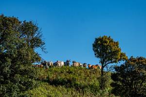 BIB: 
                            <button type="button" onclick="openModal(19374632)" class="btn btn-primary btn-sm float-right btn-popup" data-toggle="modal" data-target=".modal-high-quality">
                        <i class="fas fa-shopping-cart"></i> Add to Cart
                    </button>
                                            <button type="button" onclick="isThisMe(19374632, true)" class="btn btn-success btn-sm float-right btn-popup btn-isme hidden" data-toggle="tooltip" data-placement="bottom" title="นี่คือรูปของคุณใช่ไหม คลิกที่นี่เพื่อเอาเข้าอัลบั้ม">
                        <i class="fas fa-plus"></i> Add to album
                    </button>
                    <button type="button" onclick="isThisMe(19374632, false)" class="btn btn-warning btn-sm float-right btn-popup btn-isnotme hidden">
                        <i class="fas fa-ban"></i> Remove from album
                    </button>