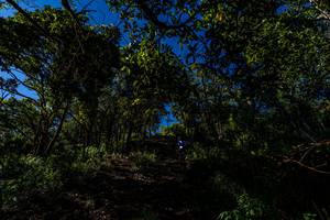 BIB: 
                            <button type="button" onclick="openModal(19375758)" class="btn btn-primary btn-sm float-right btn-popup" data-toggle="modal" data-target=".modal-high-quality">
                        <i class="fas fa-shopping-cart"></i> Add to Cart
                    </button>
                                            <button type="button" onclick="isThisMe(19375758, true)" class="btn btn-success btn-sm float-right btn-popup btn-isme hidden" data-toggle="tooltip" data-placement="bottom" title="นี่คือรูปของคุณใช่ไหม คลิกที่นี่เพื่อเอาเข้าอัลบั้ม">
                        <i class="fas fa-plus"></i> Add to album
                    </button>
                    <button type="button" onclick="isThisMe(19375758, false)" class="btn btn-warning btn-sm float-right btn-popup btn-isnotme hidden">
                        <i class="fas fa-ban"></i> Remove from album
                    </button>