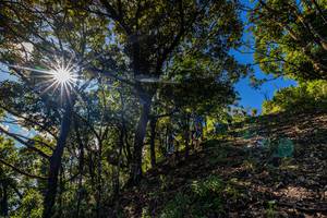 BIB: 
                            <button type="button" onclick="openModal(19375795)" class="btn btn-primary btn-sm float-right btn-popup" data-toggle="modal" data-target=".modal-high-quality">
                        <i class="fas fa-shopping-cart"></i> Add to Cart
                    </button>
                                            <button type="button" onclick="isThisMe(19375795, true)" class="btn btn-success btn-sm float-right btn-popup btn-isme hidden" data-toggle="tooltip" data-placement="bottom" title="นี่คือรูปของคุณใช่ไหม คลิกที่นี่เพื่อเอาเข้าอัลบั้ม">
                        <i class="fas fa-plus"></i> Add to album
                    </button>
                    <button type="button" onclick="isThisMe(19375795, false)" class="btn btn-warning btn-sm float-right btn-popup btn-isnotme hidden">
                        <i class="fas fa-ban"></i> Remove from album
                    </button>