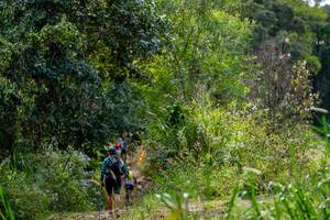 BIB: 
                            <button type="button" onclick="openModal(19375199)" class="btn btn-primary btn-sm float-right btn-popup" data-toggle="modal" data-target=".modal-high-quality">
                        <i class="fas fa-shopping-cart"></i> Add to Cart
                    </button>
                                            <button type="button" onclick="isThisMe(19375199, true)" class="btn btn-success btn-sm float-right btn-popup btn-isme hidden" data-toggle="tooltip" data-placement="bottom" title="นี่คือรูปของคุณใช่ไหม คลิกที่นี่เพื่อเอาเข้าอัลบั้ม">
                        <i class="fas fa-plus"></i> Add to album
                    </button>
                    <button type="button" onclick="isThisMe(19375199, false)" class="btn btn-warning btn-sm float-right btn-popup btn-isnotme hidden">
                        <i class="fas fa-ban"></i> Remove from album
                    </button>