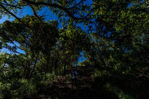 BIB: 
                            <button type="button" onclick="openModal(19375763)" class="btn btn-primary btn-sm float-right btn-popup" data-toggle="modal" data-target=".modal-high-quality">
                        <i class="fas fa-shopping-cart"></i> Add to Cart
                    </button>
                                            <button type="button" onclick="isThisMe(19375763, true)" class="btn btn-success btn-sm float-right btn-popup btn-isme hidden" data-toggle="tooltip" data-placement="bottom" title="นี่คือรูปของคุณใช่ไหม คลิกที่นี่เพื่อเอาเข้าอัลบั้ม">
                        <i class="fas fa-plus"></i> Add to album
                    </button>
                    <button type="button" onclick="isThisMe(19375763, false)" class="btn btn-warning btn-sm float-right btn-popup btn-isnotme hidden">
                        <i class="fas fa-ban"></i> Remove from album
                    </button>