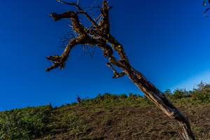 BIB: 
                            <button type="button" onclick="openModal(19375675)" class="btn btn-primary btn-sm float-right btn-popup" data-toggle="modal" data-target=".modal-high-quality">
                        <i class="fas fa-shopping-cart"></i> Add to Cart
                    </button>
                                            <button type="button" onclick="isThisMe(19375675, true)" class="btn btn-success btn-sm float-right btn-popup btn-isme hidden" data-toggle="tooltip" data-placement="bottom" title="นี่คือรูปของคุณใช่ไหม คลิกที่นี่เพื่อเอาเข้าอัลบั้ม">
                        <i class="fas fa-plus"></i> Add to album
                    </button>
                    <button type="button" onclick="isThisMe(19375675, false)" class="btn btn-warning btn-sm float-right btn-popup btn-isnotme hidden">
                        <i class="fas fa-ban"></i> Remove from album
                    </button>