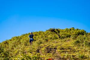 BIB: 
                            <button type="button" onclick="openModal(19374748)" class="btn btn-primary btn-sm float-right btn-popup" data-toggle="modal" data-target=".modal-high-quality">
                        <i class="fas fa-shopping-cart"></i> Add to Cart
                    </button>
                                            <button type="button" onclick="isThisMe(19374748, true)" class="btn btn-success btn-sm float-right btn-popup btn-isme hidden" data-toggle="tooltip" data-placement="bottom" title="นี่คือรูปของคุณใช่ไหม คลิกที่นี่เพื่อเอาเข้าอัลบั้ม">
                        <i class="fas fa-plus"></i> Add to album
                    </button>
                    <button type="button" onclick="isThisMe(19374748, false)" class="btn btn-warning btn-sm float-right btn-popup btn-isnotme hidden">
                        <i class="fas fa-ban"></i> Remove from album
                    </button>