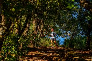 BIB: 
                            <button type="button" onclick="openModal(19374724)" class="btn btn-primary btn-sm float-right btn-popup" data-toggle="modal" data-target=".modal-high-quality">
                        <i class="fas fa-shopping-cart"></i> Add to Cart
                    </button>
                                            <button type="button" onclick="isThisMe(19374724, true)" class="btn btn-success btn-sm float-right btn-popup btn-isme hidden" data-toggle="tooltip" data-placement="bottom" title="นี่คือรูปของคุณใช่ไหม คลิกที่นี่เพื่อเอาเข้าอัลบั้ม">
                        <i class="fas fa-plus"></i> Add to album
                    </button>
                    <button type="button" onclick="isThisMe(19374724, false)" class="btn btn-warning btn-sm float-right btn-popup btn-isnotme hidden">
                        <i class="fas fa-ban"></i> Remove from album
                    </button>