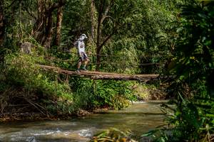 BIB: 
                            <button type="button" onclick="openModal(19375202)" class="btn btn-primary btn-sm float-right btn-popup" data-toggle="modal" data-target=".modal-high-quality">
                        <i class="fas fa-shopping-cart"></i> Add to Cart
                    </button>
                                            <button type="button" onclick="isThisMe(19375202, true)" class="btn btn-success btn-sm float-right btn-popup btn-isme hidden" data-toggle="tooltip" data-placement="bottom" title="นี่คือรูปของคุณใช่ไหม คลิกที่นี่เพื่อเอาเข้าอัลบั้ม">
                        <i class="fas fa-plus"></i> Add to album
                    </button>
                    <button type="button" onclick="isThisMe(19375202, false)" class="btn btn-warning btn-sm float-right btn-popup btn-isnotme hidden">
                        <i class="fas fa-ban"></i> Remove from album
                    </button>